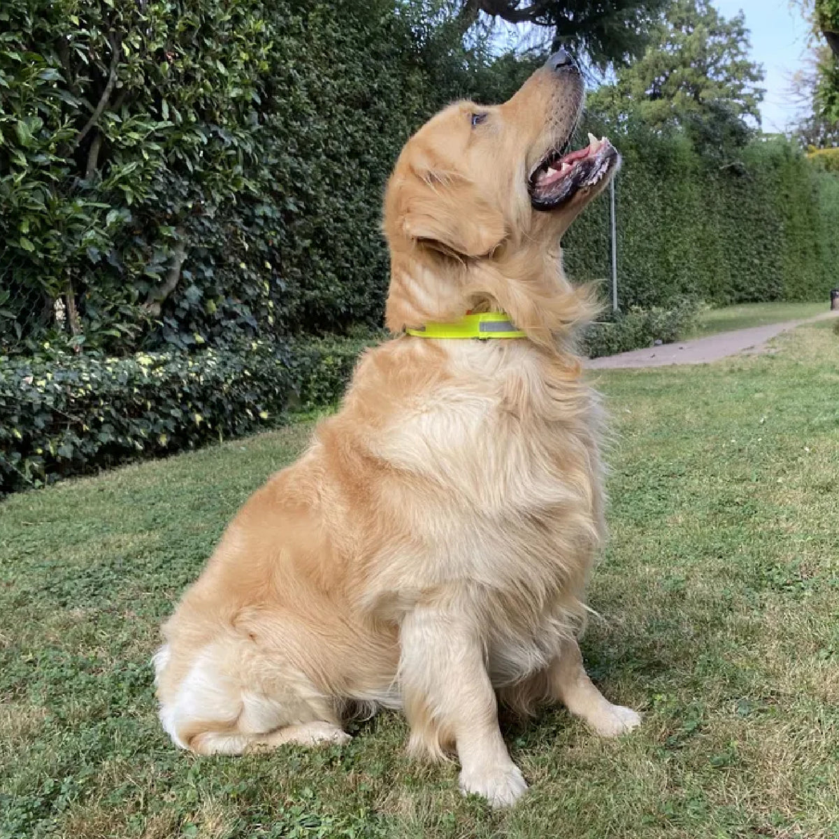 REFLECTIVE DOG OVERCOLLAR BY BERETTA BY FERPLAST